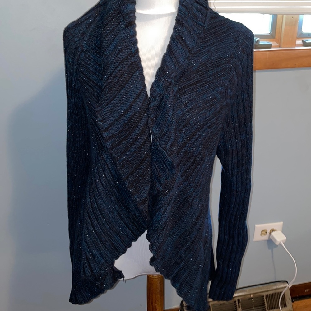 Sparkly blue sweater